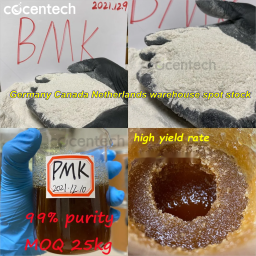 BMK methyl glycidate CAS 80532-66-7